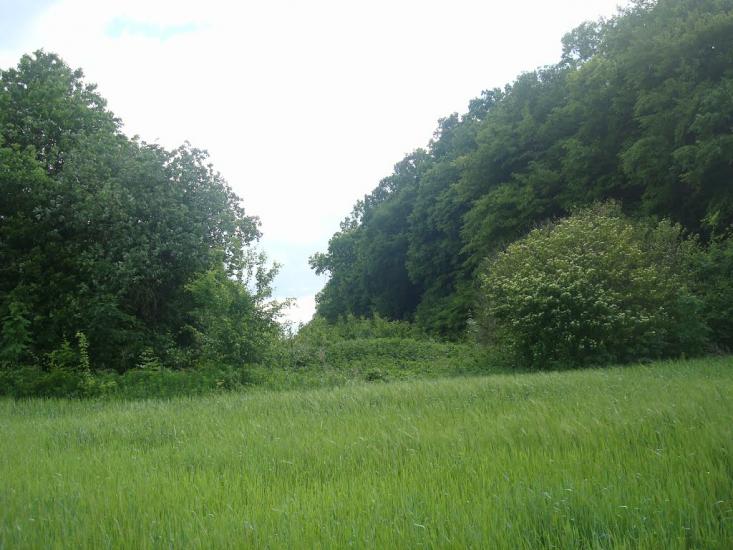 Ставчани з panoramio.com - Ставчаны