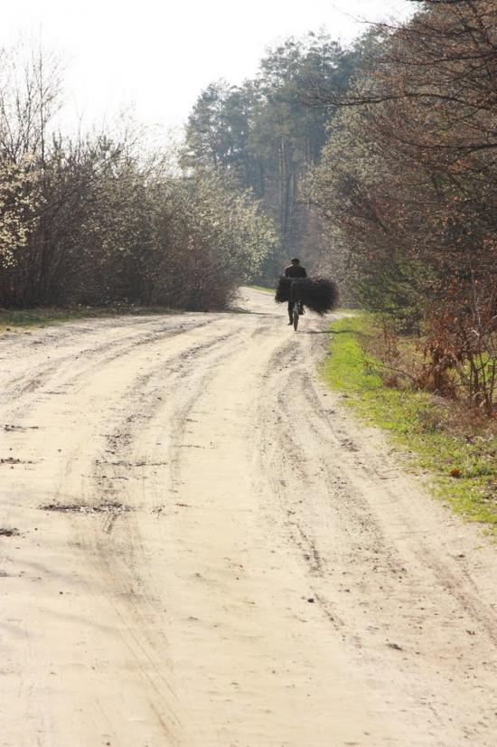 Черемошня з panoramio.com - Черемошня