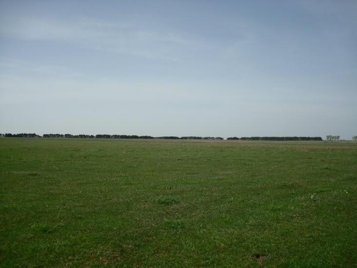 Дроздні з panoramio.com - Дроздні