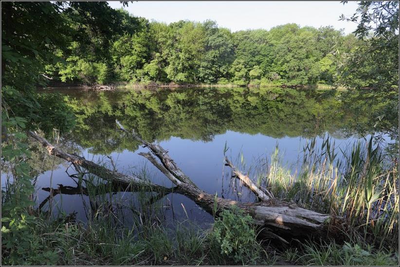 Коропове з panoramio.com - Коропово