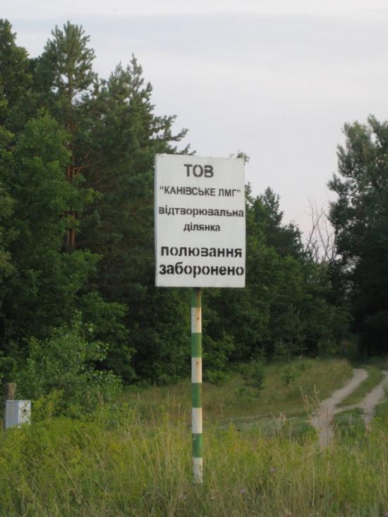 Ліпляве з panoramio.com - Лепляво