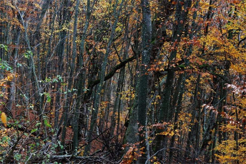 Поворотне з panoramio.com - Поворотное
