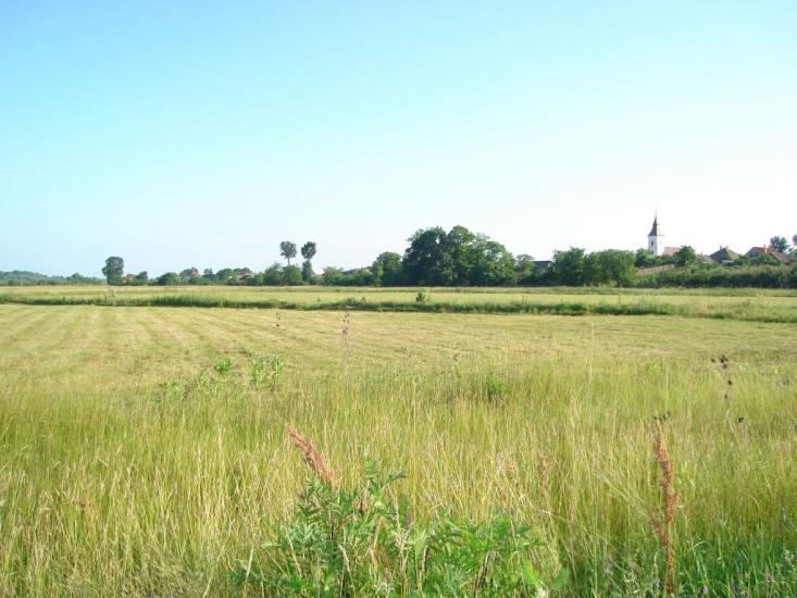 Соловка з panoramio.com - Соловка