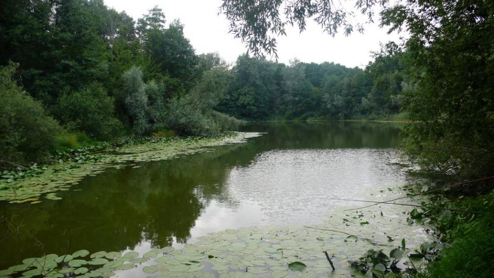 Великий Перевіз з panoramio.com - Великий Перевоз