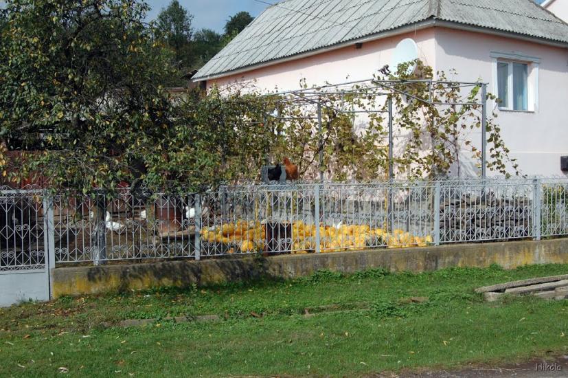 Нижнє Солотвино з panoramio.com - Нижнее Солотвино