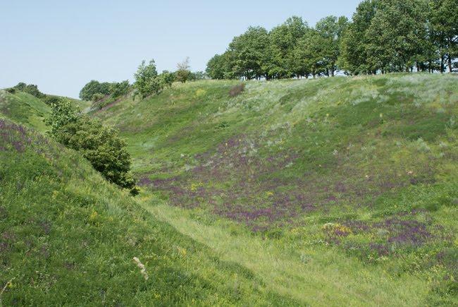 Бутенкове з panoramio.com - Бутенкове