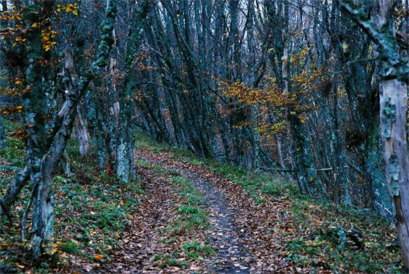 Громівка з panoramio.com - Громівка