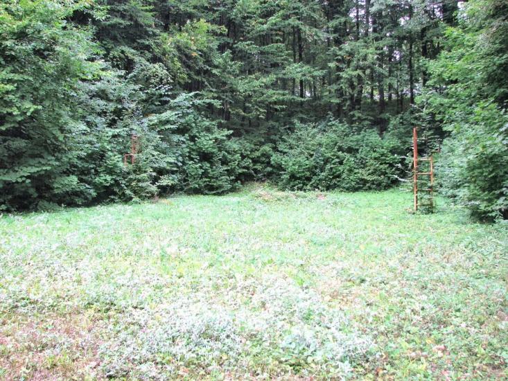 Головчинці з panoramio.com - Головчинцы