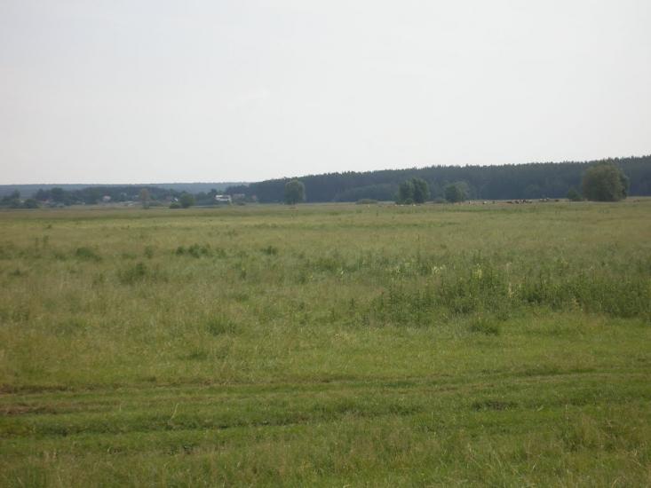 Чорногородка з panoramio.com - Чорногородка