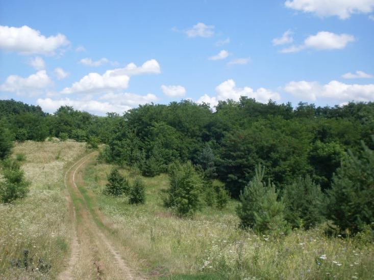 Степашки з panoramio.com - Степашки