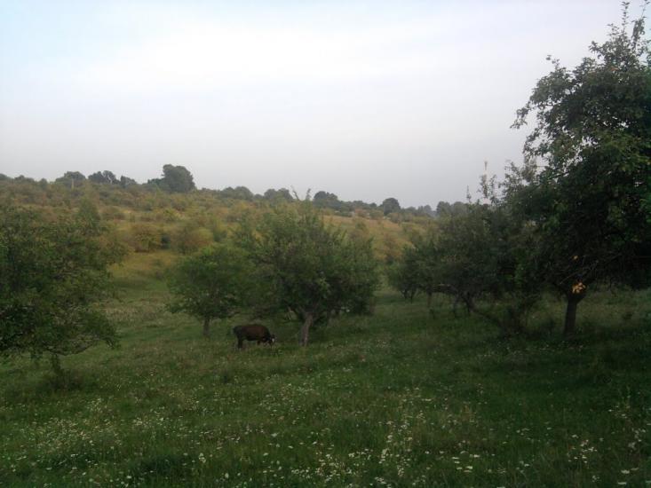 Глушківці з panoramio.com - Глушківці