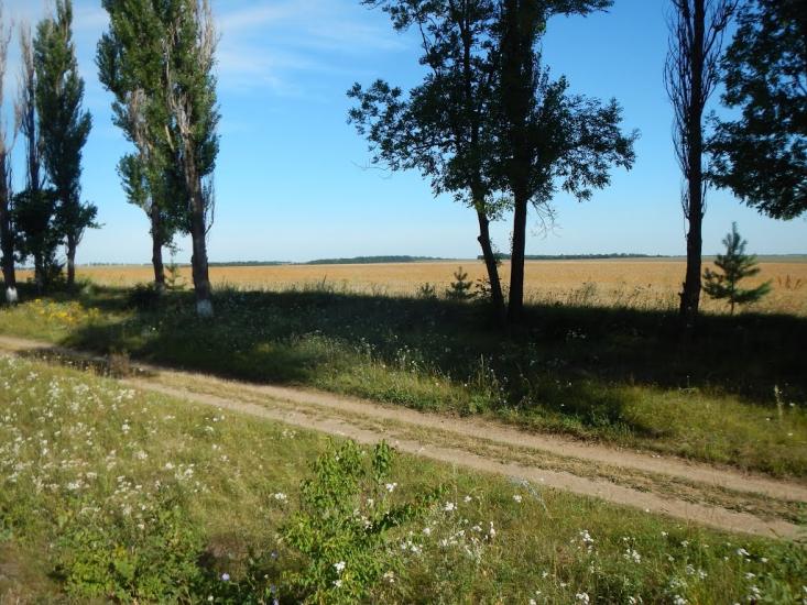 Погребище з panoramio.com - Погребище