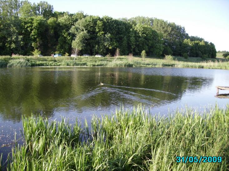 Малечковичі з panoramio.com - Малечковичі