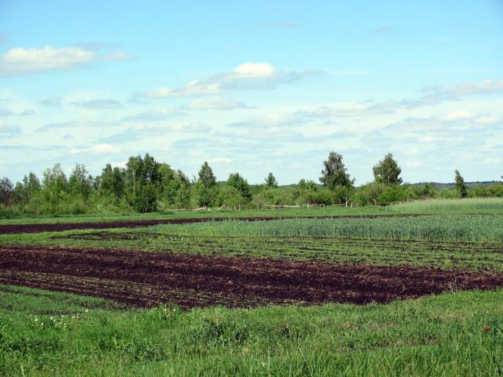 Карасин з panoramio.com - Карасин