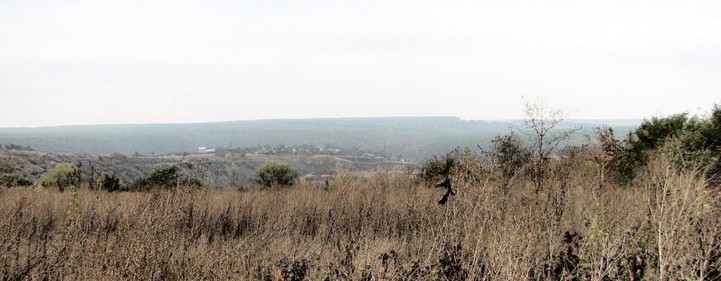 Панівці з panoramio.com - Панівці