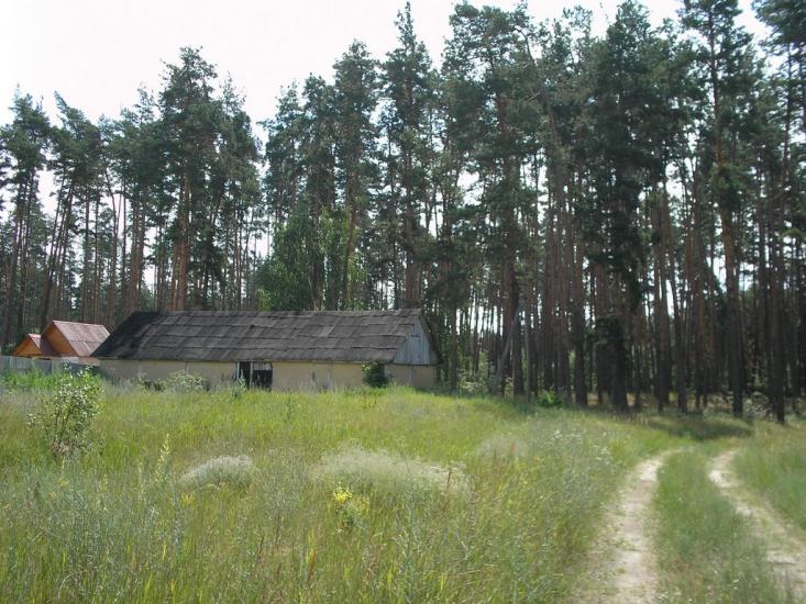 Кулики з panoramio.com - Кулики