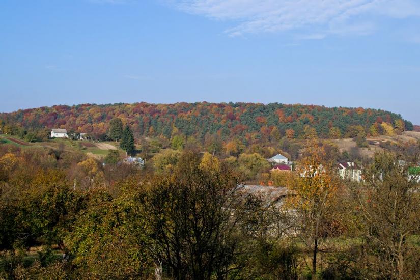 Брюховичі з panoramio.com - Брюховичи
