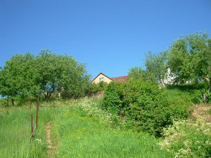 Іванків з panoramio.com - Иванков