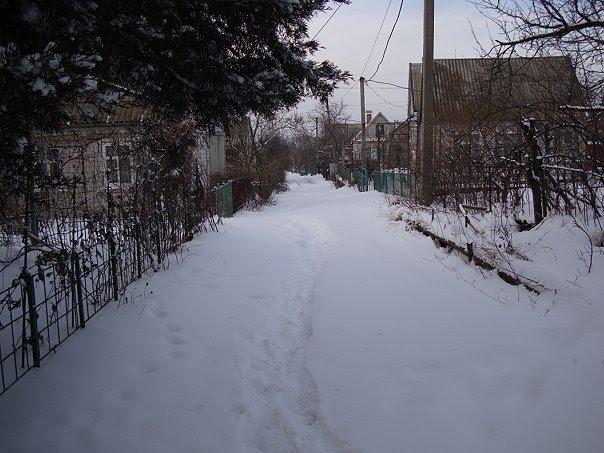 Малокатеринівка з panoramio.com - Малокатериновка