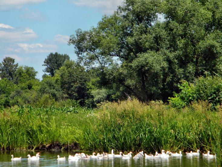 Липовець з panoramio.com - Липовец