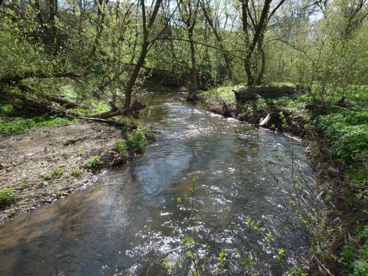 Маломиколаївка з panoramio.com - Малониколаевка