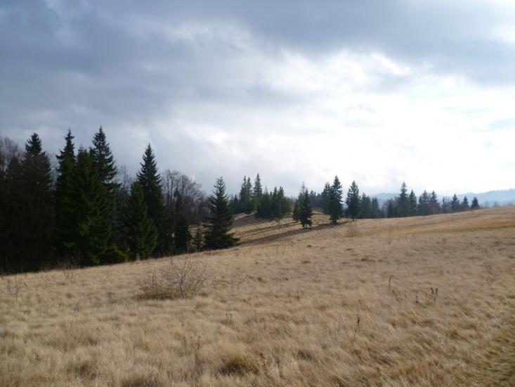 Лавочне з panoramio.com - Лавочное