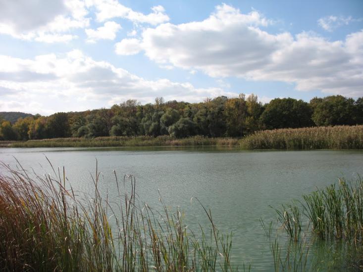 Задонецьке з panoramio.com - Zadonetske