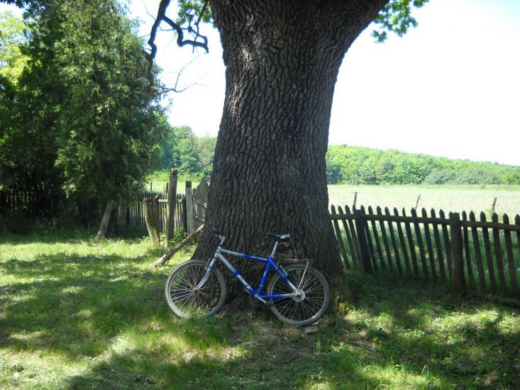 Чепоноси з panoramio.com - Чепоноси