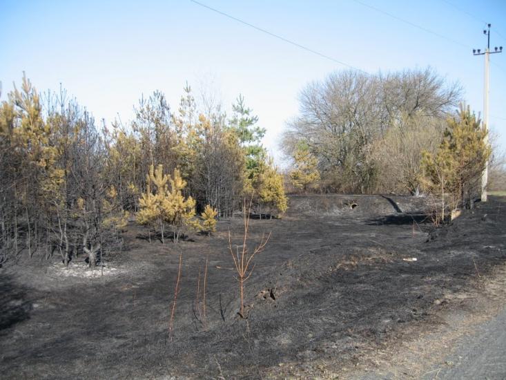 Плавні з panoramio.com - Плавни