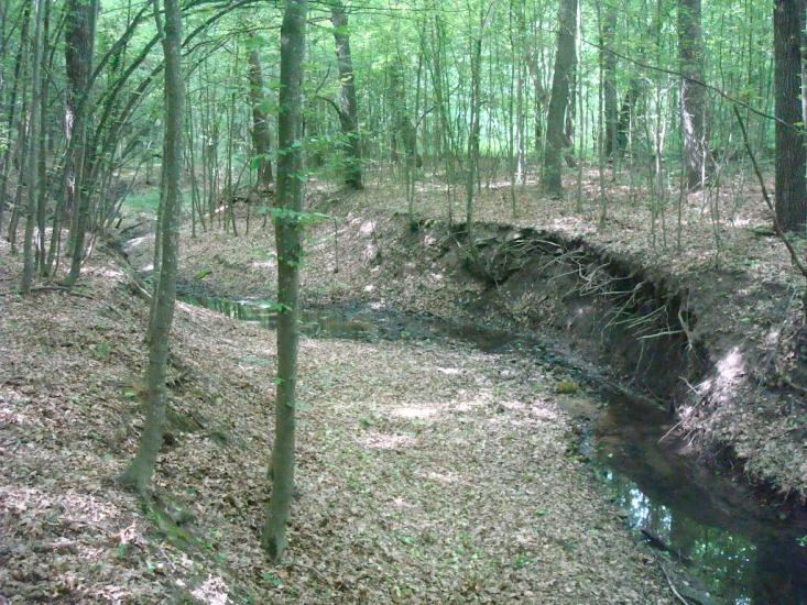 Ставчани з panoramio.com - Ставчаны