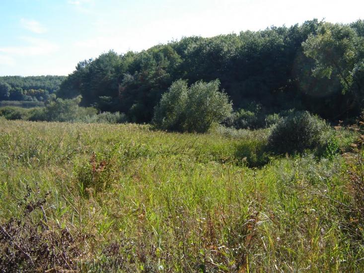 Кагарлик з panoramio.com - Кагарлык