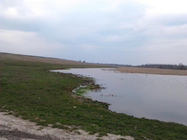 Рогачі з panoramio.com - Рогачи