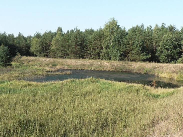 Пісківка з panoramio.com - Piskivka