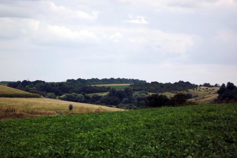 Андріївка з panoramio.com - Андреевка