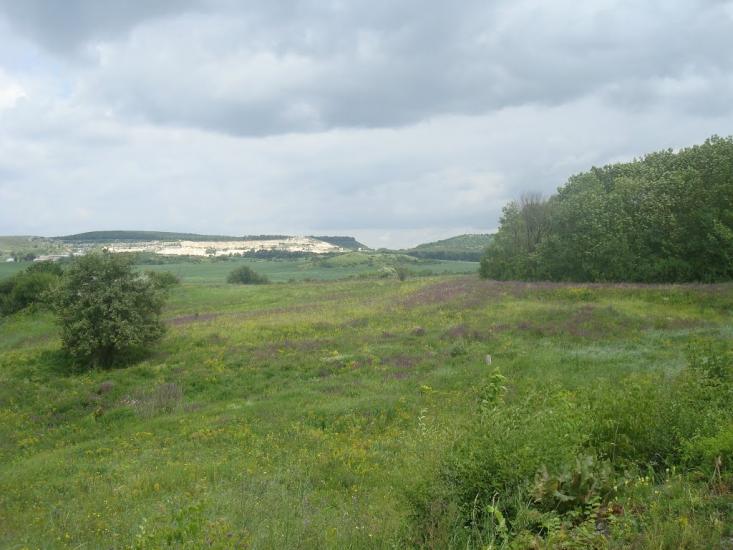 Вербка з panoramio.com - Вербка