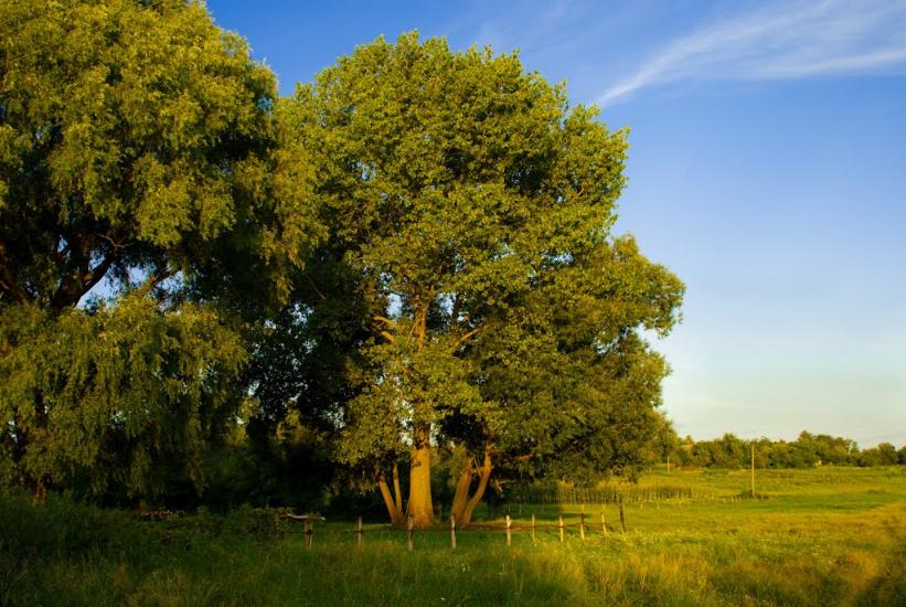 Остапівка з panoramio.com - Остаповка
