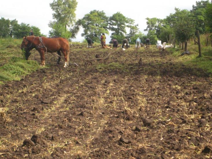 Кнісело з panoramio.com - Кнісело