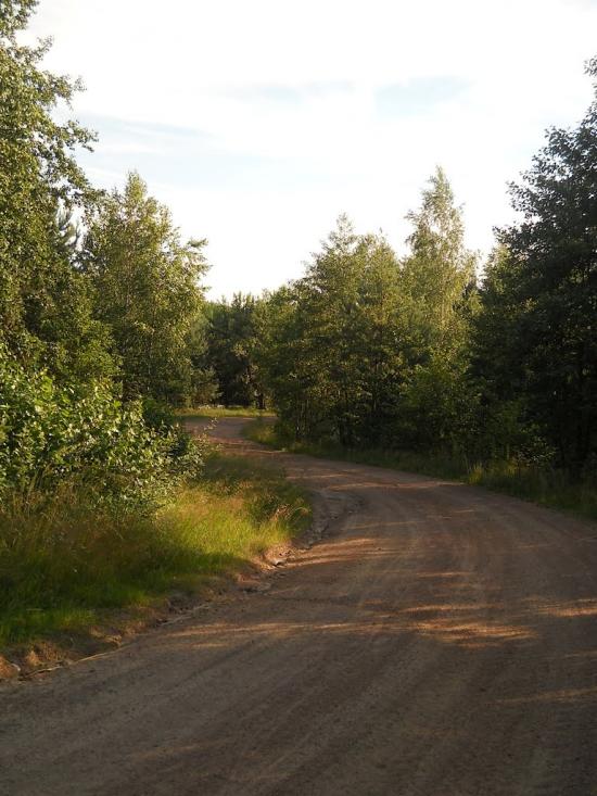 Струмок з panoramio.com - Струмок