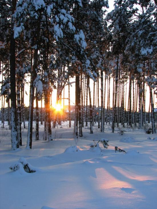 Червона Гута з panoramio.com - Червона Гута