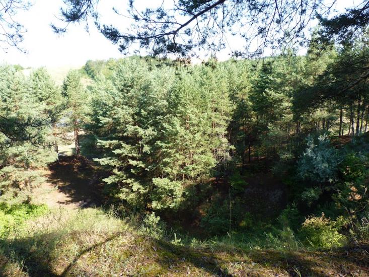 Медвин з panoramio.com - Медвин