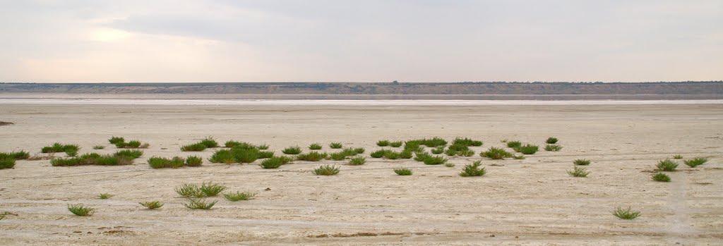 Красносілка з panoramio.com - Красноселка