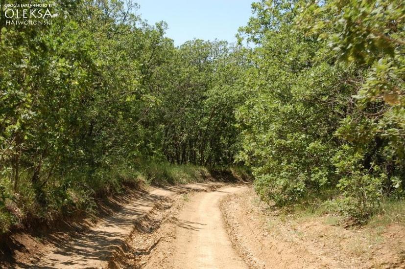 Долинне з panoramio.com - Долинне