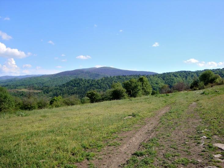 Люта з panoramio.com - Люта