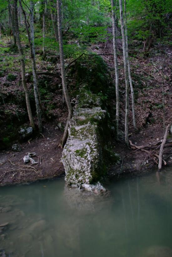 Алексєєвка з panoramio.com - Алексєєвка