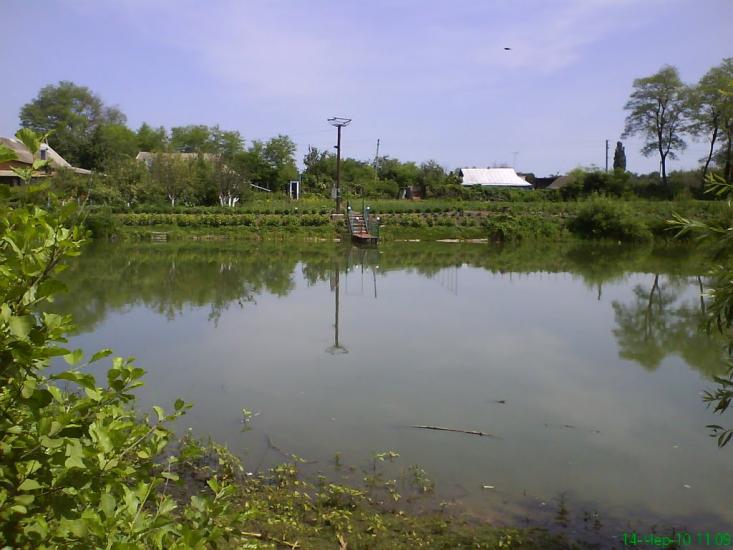 Щурівці з panoramio.com - Щурівці