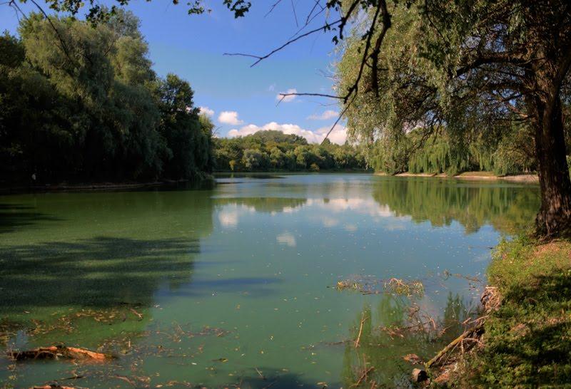 Онуфріївка з panoramio.com - Онуфріївка