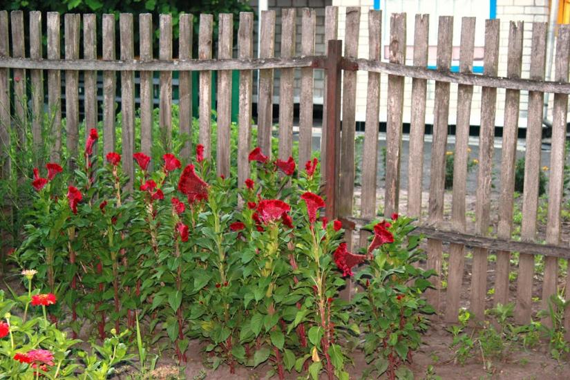 Городище з panoramio.com - Городище