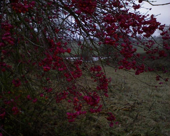 Гульськ з panoramio.com - Гульск