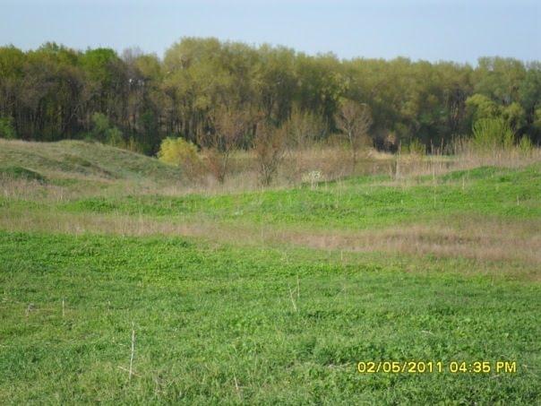 Новоберислав з panoramio.com - Новоберислав