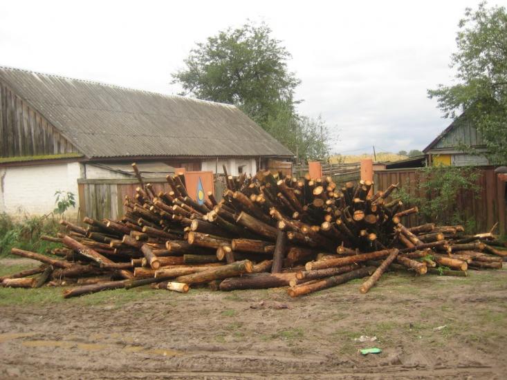 Підлісне з panoramio.com - Підлісне